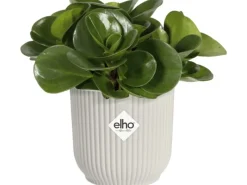 Elho Töpfe<Blumentopf Mini Vibes  Ø 9 cm