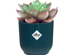 Elho Blumentopf Mini Vibes  Ø11 cm< Töpfe