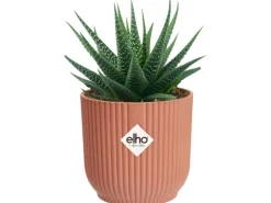 Elho Blumentopf Mini Vibes  Ø 7 cm< Töpfe