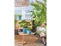 Elho Blumentopf Ocean Collection Ø 14 cm< Töpfe
