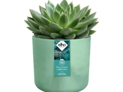Elho Blumentopf Ocean Collection Ø 18 cm< Töpfe