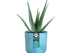 New Elho Blumentopf Ocean Collection Ø 14 cm Atlantikblau
