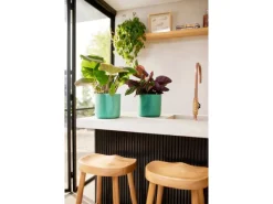 Sale Elho Blumentopf Ocean Collection Ø 18 cm Atlantikblau