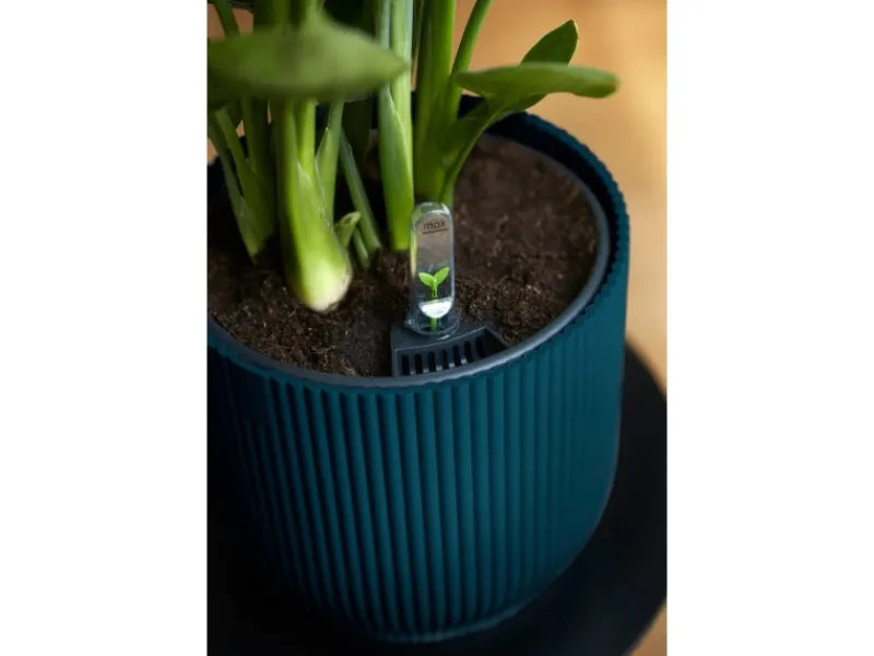 Elho Blumentopf Vibes Fold Ø 22 cm x 20 cm< Töpfe