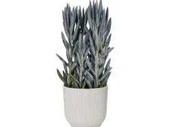 Elho Blumentopf Vibes Fold  Ø 30 cm< Töpfe