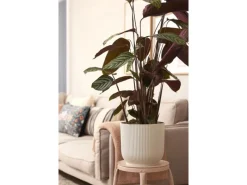 Elho Blumentopf Vibes Fold  Ø 30 cm< Töpfe