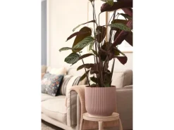 Online Elho Blumentopf Vibes Fold  Ø 30 cm Zartrosa