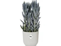 Elho Töpfe<Blumentopf Vibes mit Rollen Ø 34,9 cm