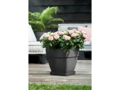 Elho Blumentopf Vibia Campana Viereckig 30 cm x 30 cm x 28 cm< Töpfe