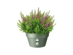 Elho Töpfe<Blumentopfschale Loft Urban Ø 35 cm x 20 cm Grün
