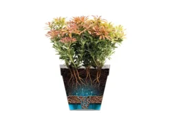 Elho Töpfe<Blumentopfschale Loft Urban Ø 35 cm x 20 cm Grün