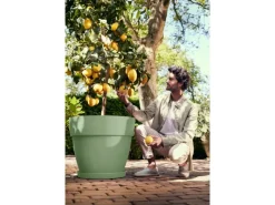 Discount Elho Pflanzentopf Vibia Campana Ø 47 cm x 40 cm Pistaziengrün