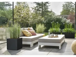 Elho Töpfe<Pflanztopf Vivo Next 40 cm x 40 cm x 40 cm Living Black mit Rollen