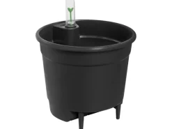 Elho Töpfe<Selbstbewässerungs-System Ø 17 cm x 16 cm Schwarz