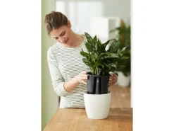 Elho Töpfe<Selbstbewässerungs-System Ø 17 cm x 16 cm Schwarz