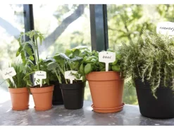 Elho Untersetzer Green Basics Ø 17 cm living< Töpfe