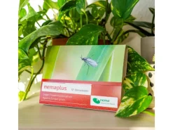 e-nema 3 Mio. SF-Nematoden gegen Trauermücken nemaplus< Töpfe