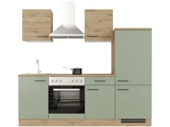 Flex-Well Exclusiv Single-Küchen|Kühlschränke<Küche 1706-002 Cara 220 cm Schilfgrün matt - Artisan Eiche