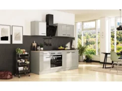 Flex-Well Exclusiv Küche 1601-005sWs Lund 210cm Lichtgrau glänzend -Rauchgrau< Einbauküchen