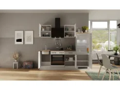 Sale Flex-Well Exclusiv Küchenzeile 1706-005 Lund 220 cm Lichtgrau glänzend-Rauchgrau