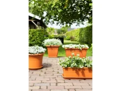 Outlet Florus Pflanztopf Cilindro Ø 40 cm Terracotta Terrakotta