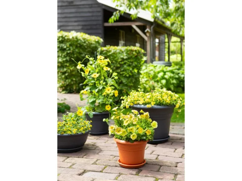 Florus Pflanztopf Fiore Alessia Ø 55 cm< Töpfe