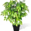 furnicato Töpfe<Künstlicher Zwerg-Ficus mit Topf 60 cm