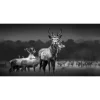 New Pro Art Glasbild Herd Of Deer 80 cm x 30 cm