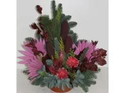Clearance Grabschale Nobilis Topf 22 cm -Rose Bordeaux