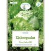 Grüne Fee Eisbergsalat Great Lakes 118 Saatgut< Kühlschränke