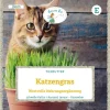 Grüne Fee Töpfe<Katzengras Wertvolle Nahrungsergänzung Saatgut