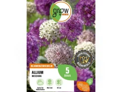 Clearance GROW by OBI Zierlauch Purple Sensation Mischung 5 Stück Allium