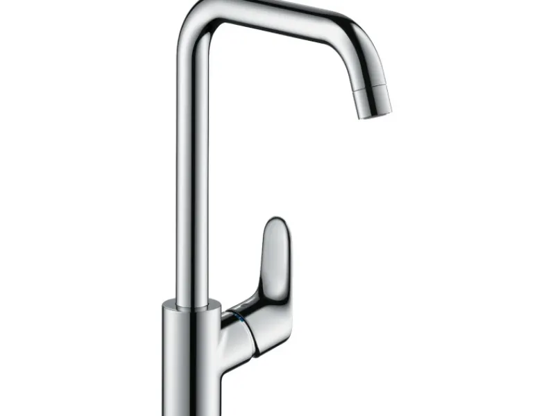 Hansgrohe Einhebel-Küchenmischer Focus 260 mit Schwenkauslauf Chrom< Einhebelmischer