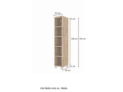 Best Held Möbel Midiregal Pisa 25 cm Wotaneiche