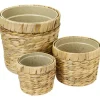 HMF 37280-14CM+19CM+25CM Innovativer Blumentopf Wasserhyazinthe Pflanztopf Rund 3 Größen< Töpfe