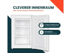 homeX Gefrierschränke<Gefrierschrank Tiefkühlschrank Klein 87L Nutzinhalt 4-Sterne Gefrieren Kompakt und Freistehend Leise Weiß