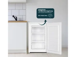 homeX Gefrierschränke<Gefrierschrank Tiefkühlschrank Klein 87L Nutzinhalt 4-Sterne Gefrieren Kompakt und Freistehend Leise Weiß