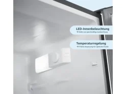 Outlet homeX Kühlschrank Mit Gefrierfach Kühl-Gefrierkombination Freistehend 173 Liter Nutzinhalt CFS1110-S Silber