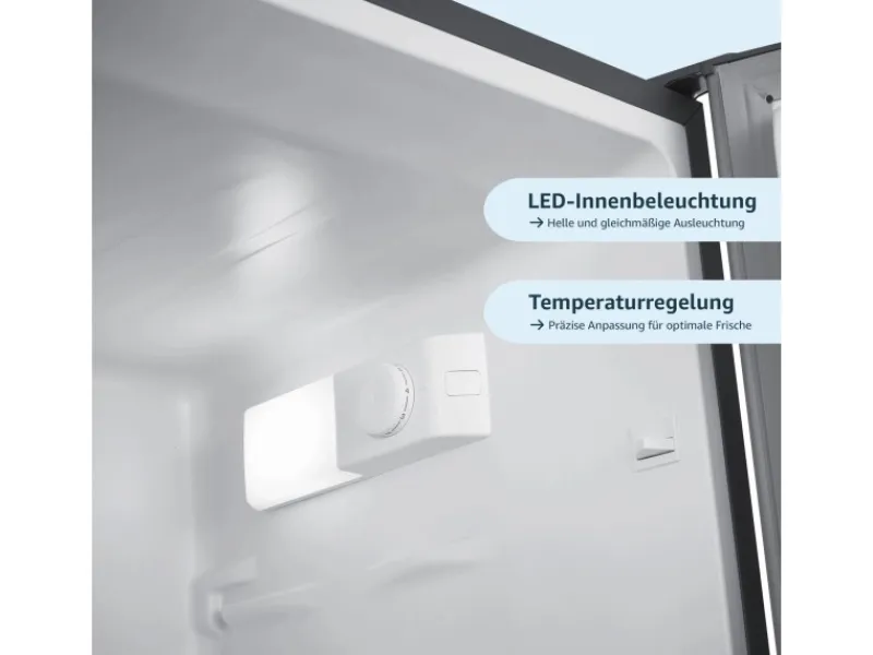 Outlet homeX Kühlschrank Mit Gefrierfach Kühl-Gefrierkombination Freistehend 173 Liter Nutzinhalt CFS1110-S Silber