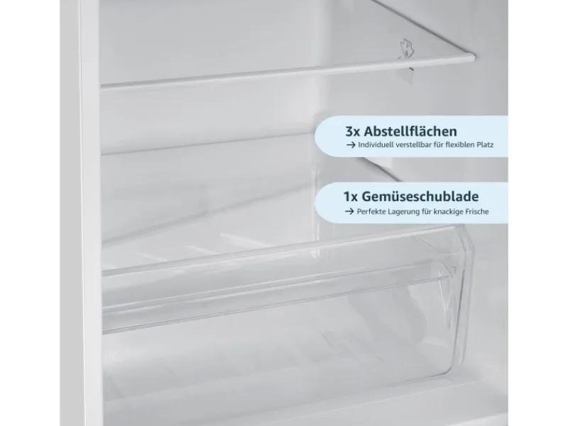 homeX Kühlschränke<Kühlschrank Mit Gefrierfach Kühl-Gefrierkombination Freistehend 173 Liter Nutzinhalt CFS1110-W Weiß