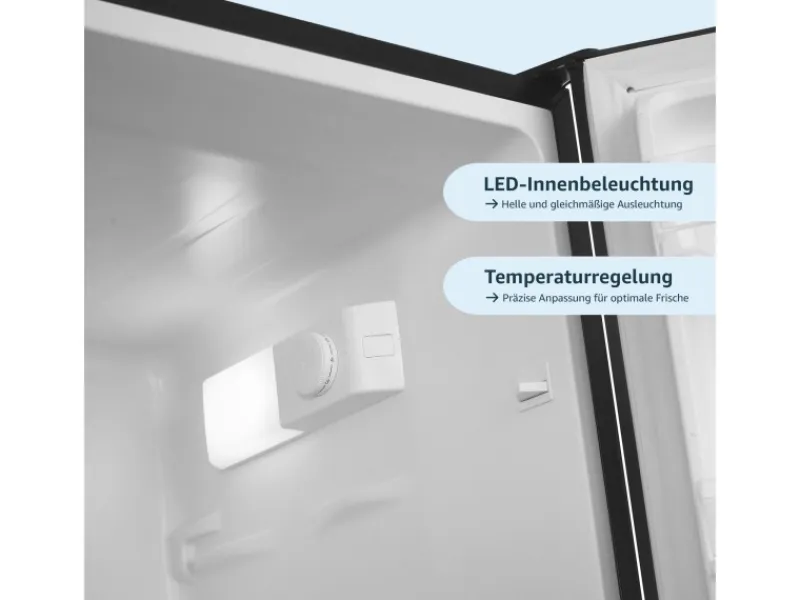 Outlet homeX Kühlschrank Mit Gefrierfach Kühl-Gefrierkombination Freistehend 173 Liter Nutzinhalt CFS1110-B Schwarz