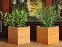 Kesper Utensilienbox Bambus FSC®< Küchen-Ordnungssysteme