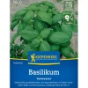 Kiepenkerl Töpfe<Basilikum "Genoveser"