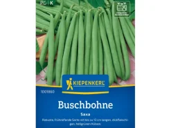 Kiepenkerl Buschbohne "Saxa"< Töpfe