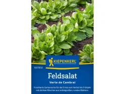 Best Kiepenkerl Feldsalat "Verte de Cambrai"