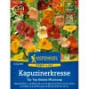 Discount Kiepenkerl Kapuzinerkresse "Tip Top Alaska Mischung" Mehrfarbig