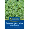 Kiepenkerl Töpfe<Portulak "Sommerportulak"