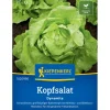Kiepenkerl Profi-Line Kopfsalat "Dynamite"< Töpfe