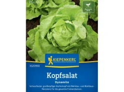 Kiepenkerl Profi-Line Kopfsalat "Dynamite"< Töpfe
