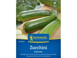 Kiepenkerl Profi-Line Zucchini "Defender" F1-Hybride< Töpfe